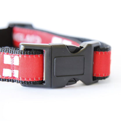 England Dog Collar